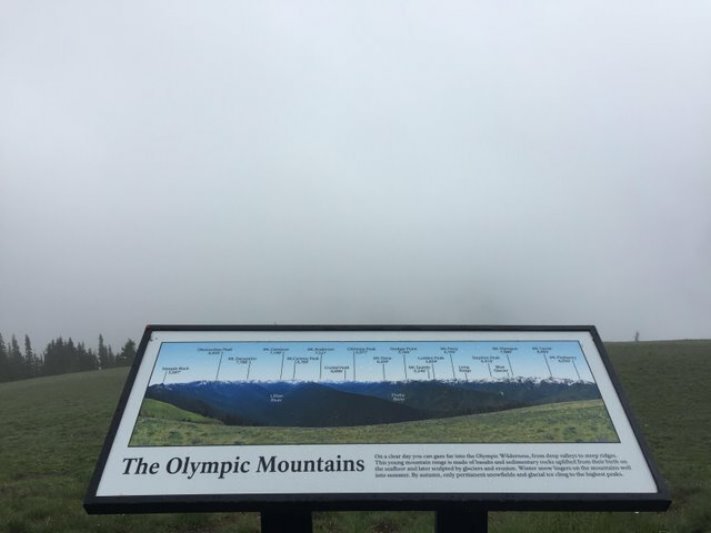 20 սարսափելի արձակուրդային լուսանկարներ, որոնցով դուք չեք կարող պարծենալ ձեր ընկերների մոտ