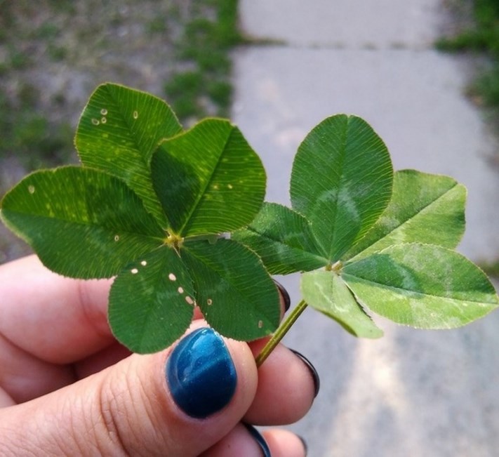 21 լուսանկար, որոնք հաստատում են, որ տիկին Բախտը հաստատ ունի իր սիրելիները