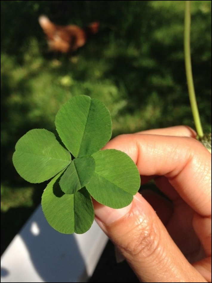 Այս 22 կադրերը հիանալի կերպով ցույց են տալիս, թե որքան անհավանական հաջողություն կարող է պատահել