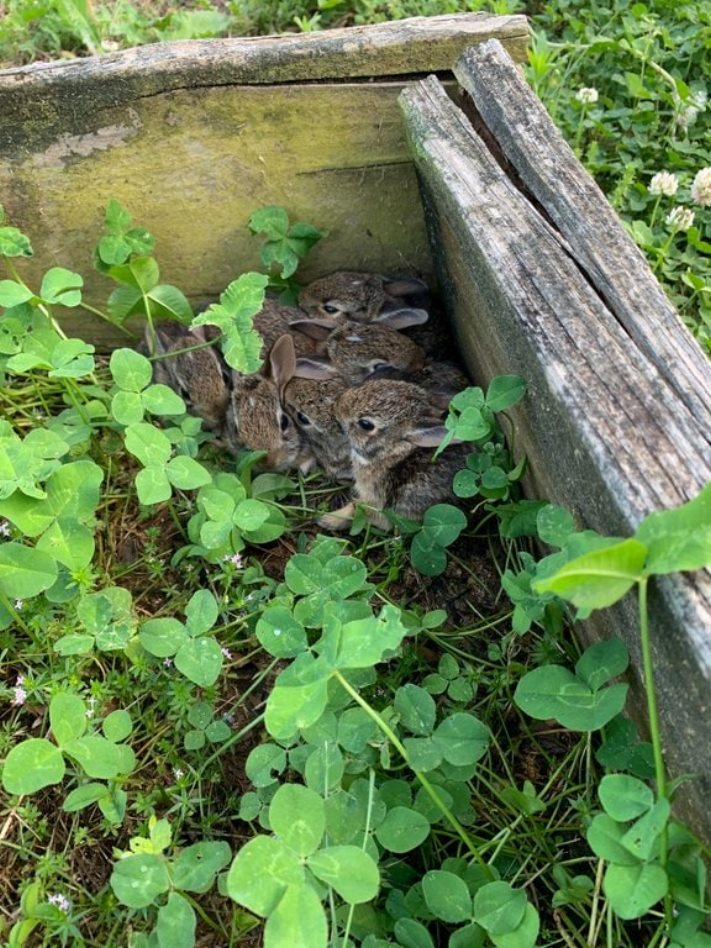 17 զարմանահրաշ լուսանկարներ, որոնք բացահայտում են մեզ նոր, անհայտ աշխարհ` ստեղծված բնության կողմից