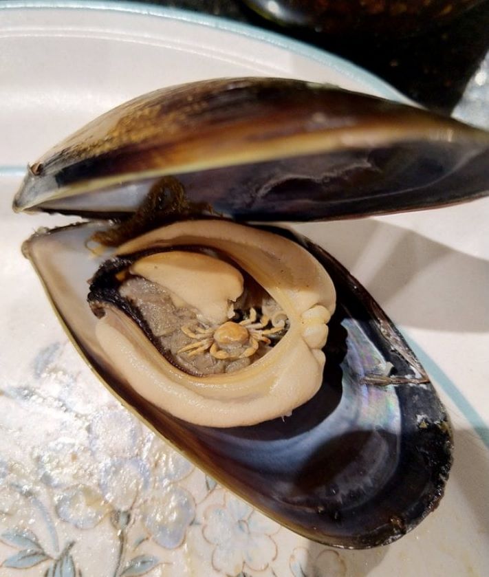 17 զարմանահրաշ լուսանկարներ, որոնք բացահայտում են մեզ նոր, անհայտ աշխարհ` ստեղծված բնության կողմից