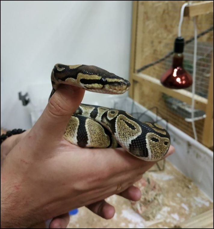 17 տարբեր անակնկալներ, որոնց բախվել են նոր տուն տեղափոխվածները