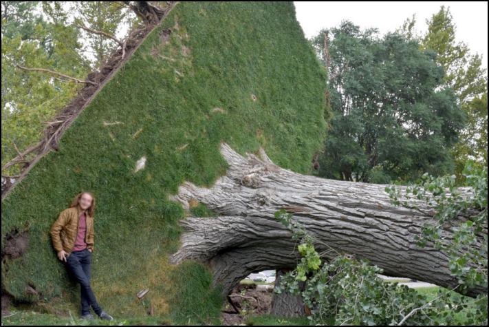 20 այնպիսի բաներ, որոնց ոչ ոք չէր հավատա, եթե չլուսանկարեին