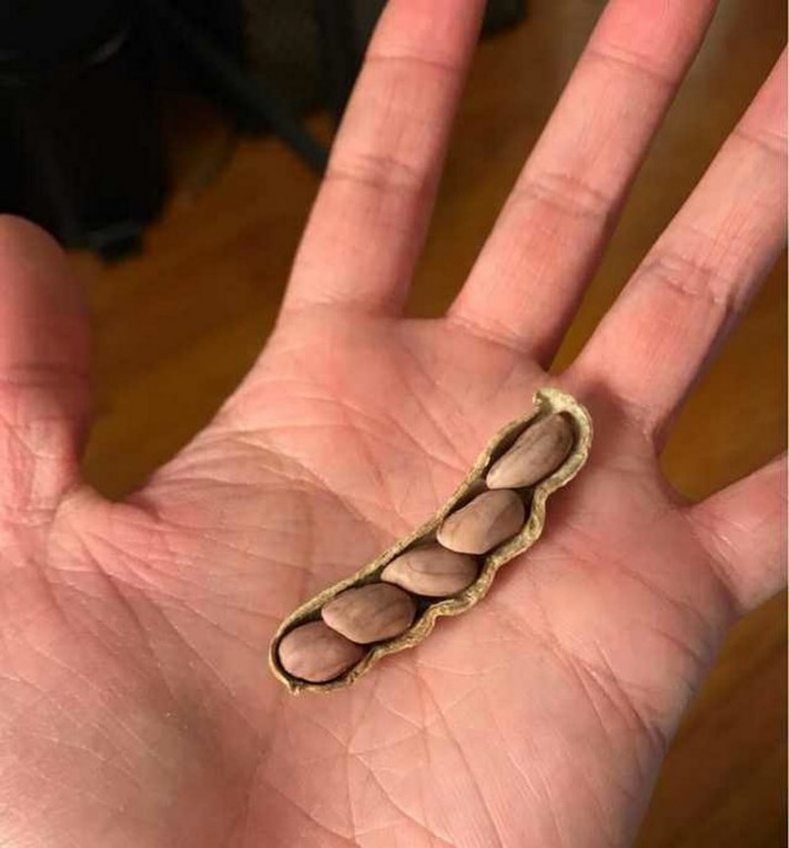 21 լուսանկար, որոնք հաստատում են, որ տիկին Բախտը հաստատ ունի իր սիրելիները