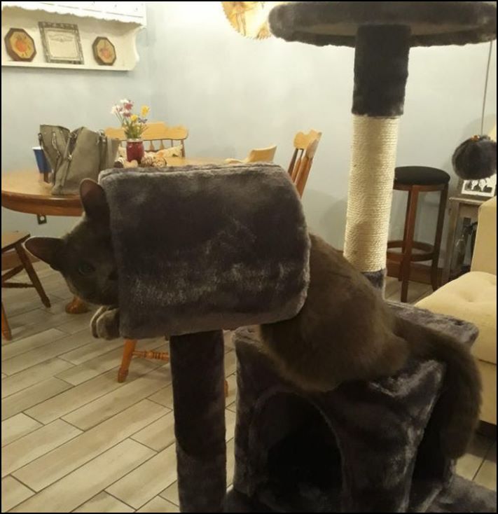 20 միամիտ մարդիկ, ովքեր զոհ դարձան` ինտերնետում առցանց գնումներ կատարելով