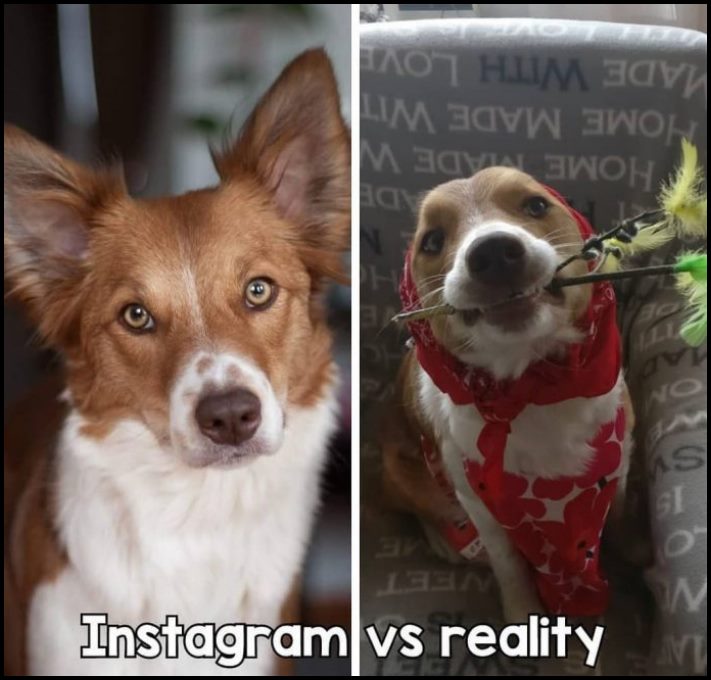 20 ապացույց, որ կյանքը այնքան էլ կատարյալ չէ, որքան Instagram-ում