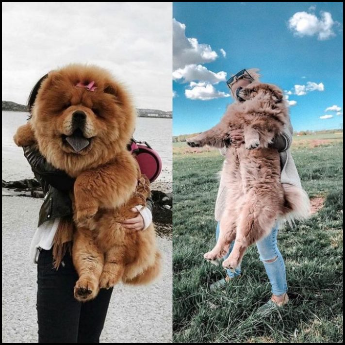 20 ապացույց, որ կյանքը այնքան էլ կատարյալ չէ, որքան Instagram-ում