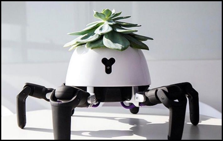 Կահույքի և ինտերիերի 23 իր, որոնք անկասկած կցանկանաք ունենալ ձեր տանը