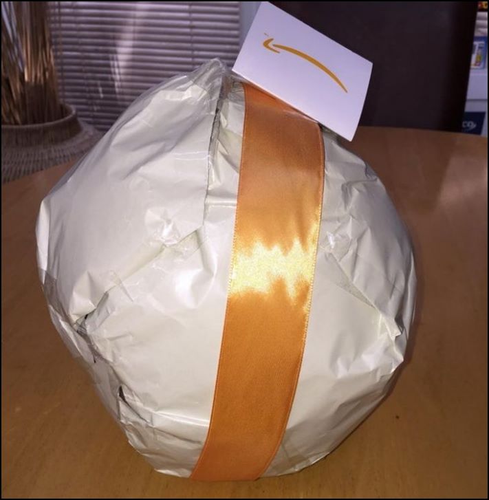 20 միամիտ մարդիկ, ովքեր զոհ դարձան` ինտերնետում առցանց գնումներ կատարելով