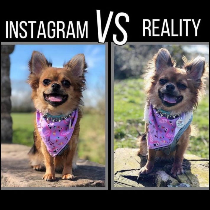 20 ապացույց, որ կյանքը այնքան էլ կատարյալ չէ, որքան Instagram-ում