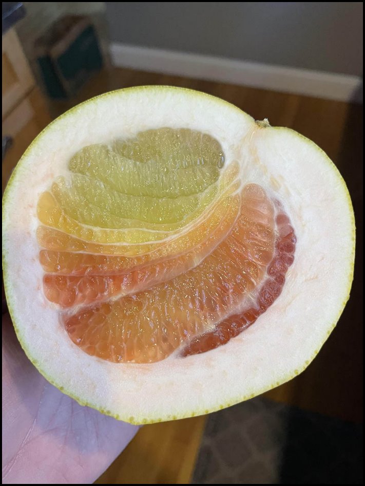 16 լուսանկար, որոնք կարող են հեշտությամբ հանգստացնել նյարդերը, զարմացնել և ուրախացնել ձեզ