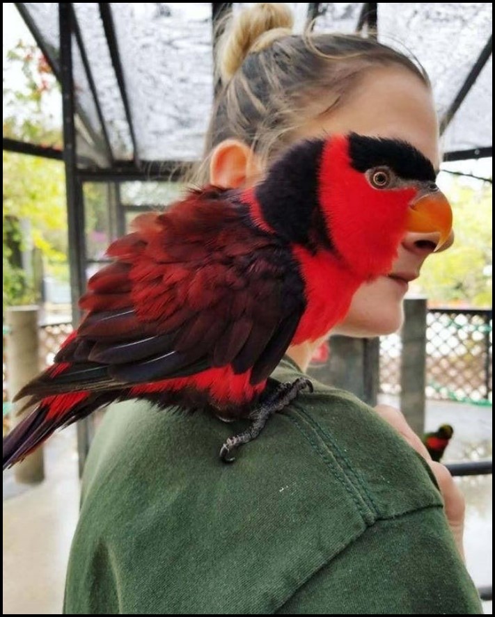 17 կադր, որոնք կատարվել են կատարյալ ճիշտ պահին