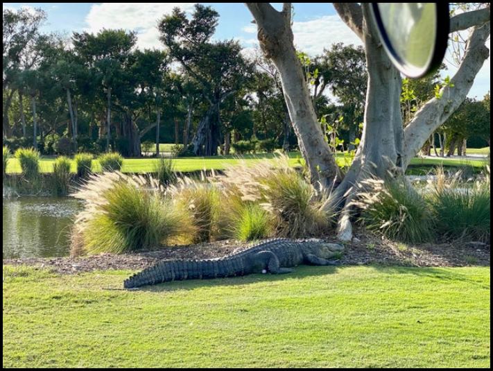 16 իրավիճակ, երբ մարդիկ տապալող ձախողումներ են ունեցել, և հիմա նրանք հստակ գիտեն, թե ինչ է ցավը