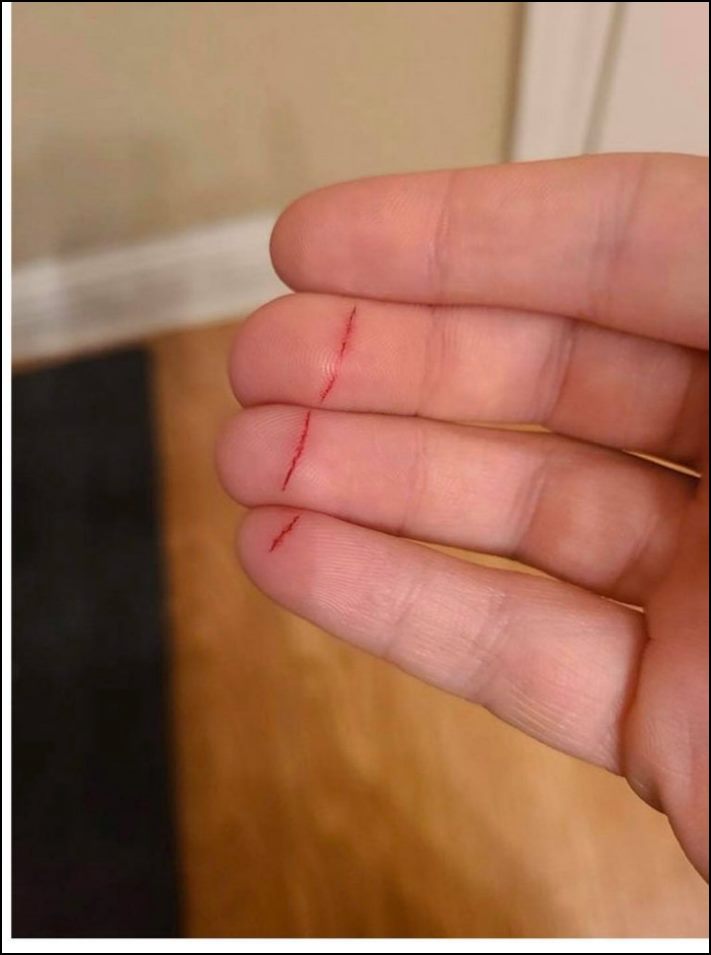 Իրենց հիմարության պատճառով մարդիկ հայտնվում են դժվար իրավիճակներում