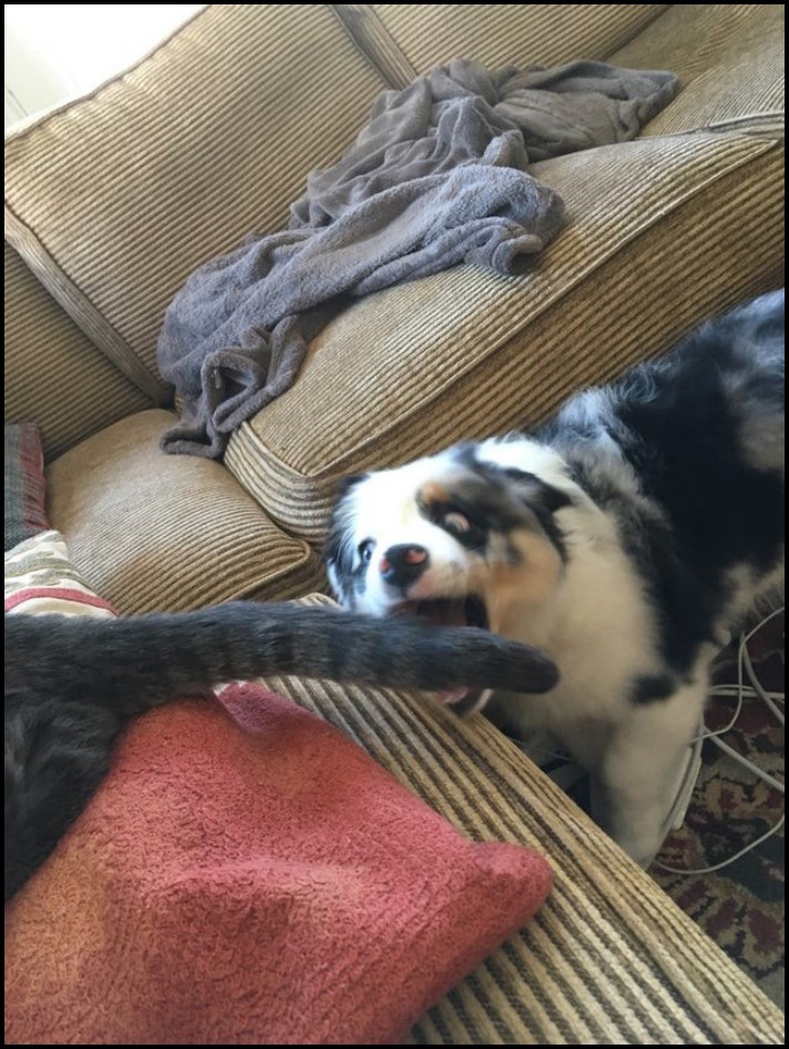 17 կադր, որոնք կատարվել են կատարյալ ճիշտ պահին