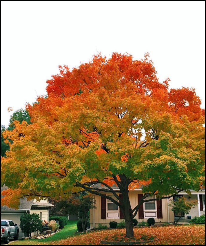 16 լուսանկար, որոնք կարող են հեշտությամբ հանգստացնել նյարդերը, զարմացնել և ուրախացնել ձեզ