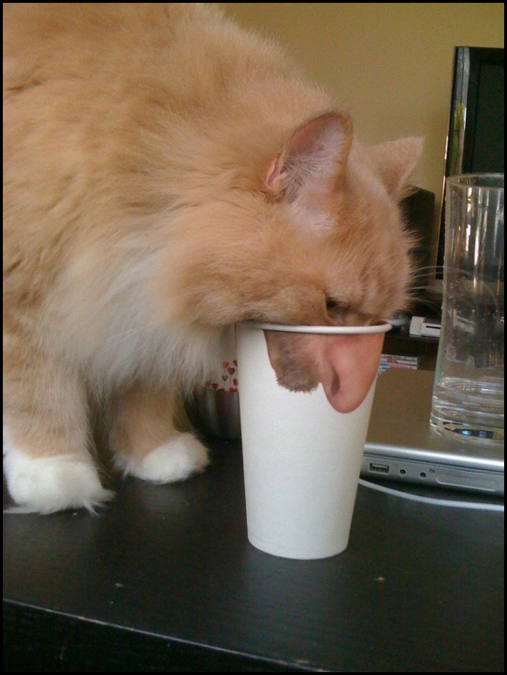 17 կադր, որոնք կատարվել են կատարյալ ճիշտ պահին