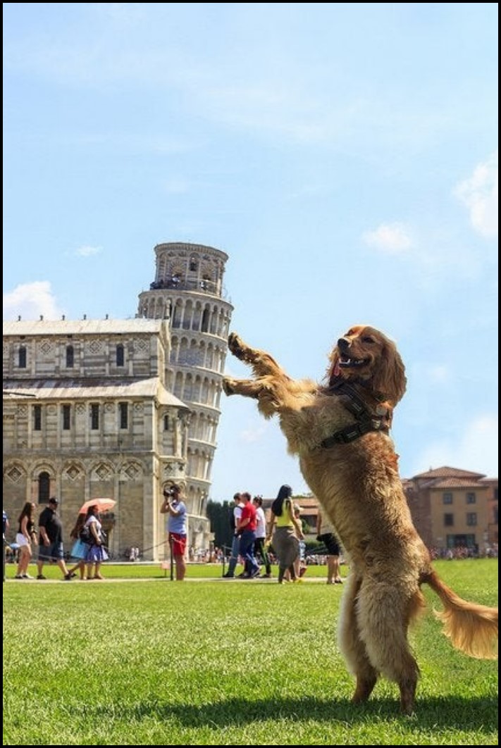 17 կադր, որոնք կատարվել են կատարյալ ճիշտ պահին