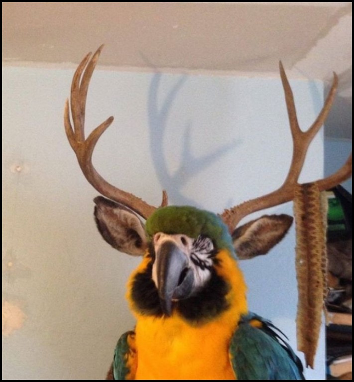 17 կադր, որոնք կատարվել են կատարյալ ճիշտ պահին