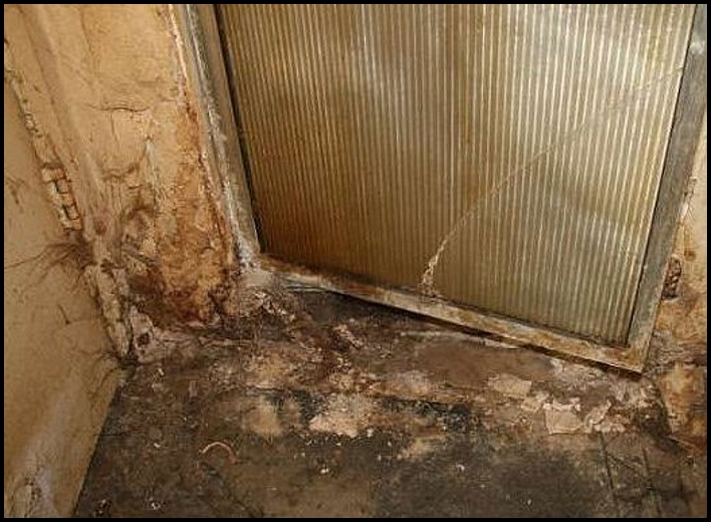 Այս ավերակ տունն ավելի քան 60 տարվա պատմություն ունի, բայց այն վաճառում են մոտ 500 000 դոլարով. պատճառը ձեզ շատ կզարմացնի...