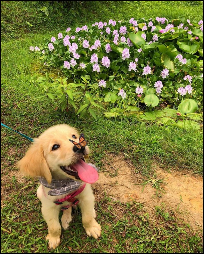 17 կադր, որոնք կատարվել են կատարյալ ճիշտ պահին