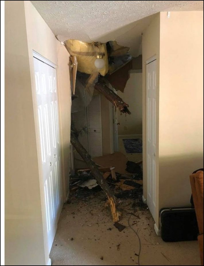 Իրենց հիմարության պատճառով մարդիկ հայտնվում են դժվար իրավիճակներում