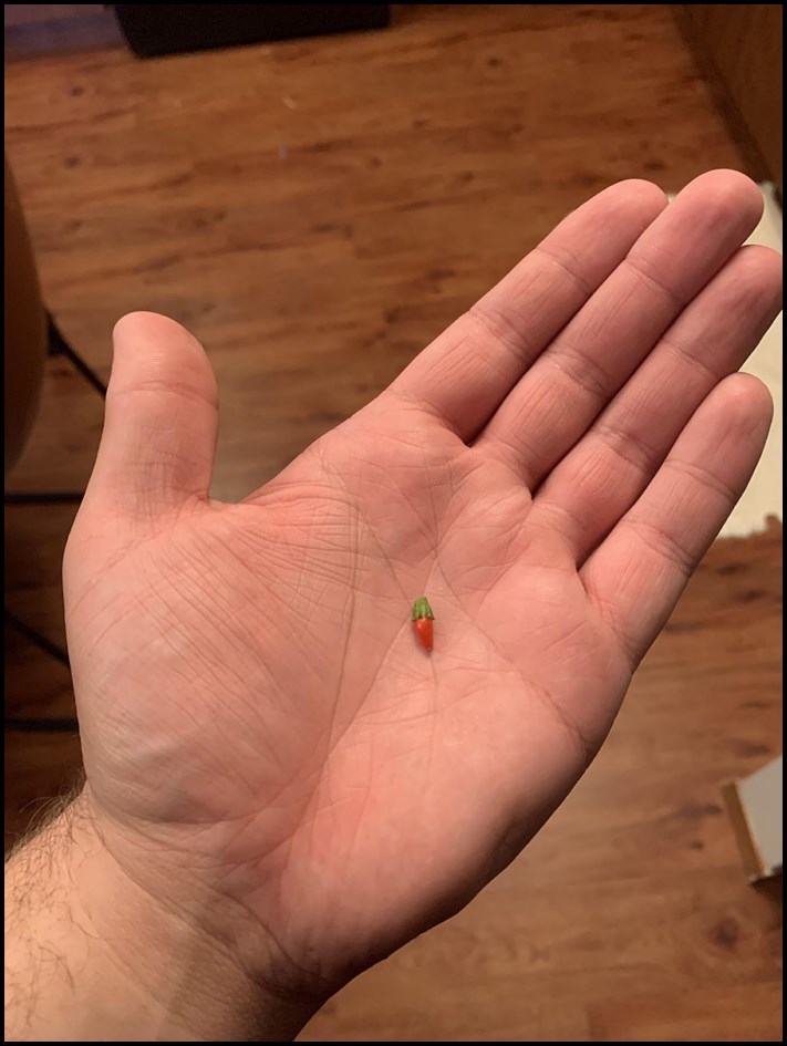 16 անփութություն, հիմարություն և անհարմարություն, որոնք ուզում ես մոռանալ, բայց չի ստացվում