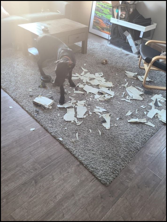 16 իրավիճակ, երբ մարդիկ տապալող ձախողումներ են ունեցել, և հիմա նրանք հստակ գիտեն, թե ինչ է ցավը