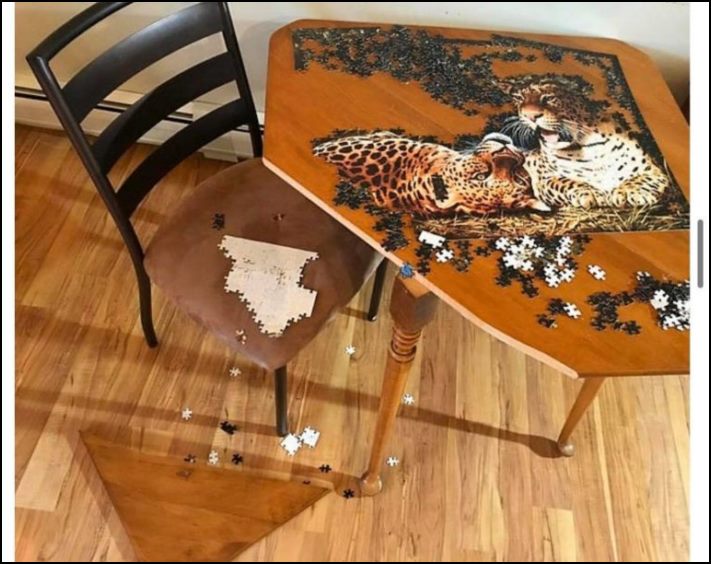 Իրենց հիմարության պատճառով մարդիկ հայտնվում են դժվար իրավիճակներում