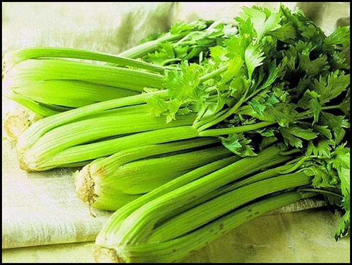 Ցնցող փաստեր նեխուրի մասին, որոնց մասին շատ քիչ մարդ գիտի
