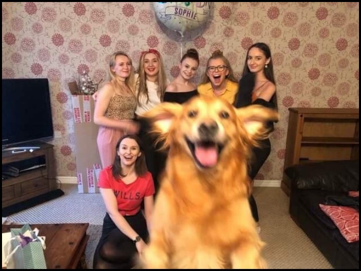 17 կադր, որոնք կատարվել են կատարյալ ճիշտ պահին