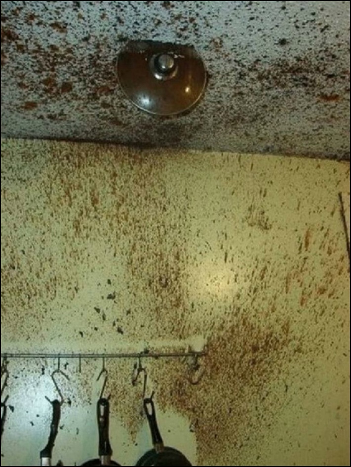 Ինչ է նշանակում բախտը չի բերում։ Ամենաէպիկական ձախողումները, որից հետո քեզ անհաջողակ ես զգում