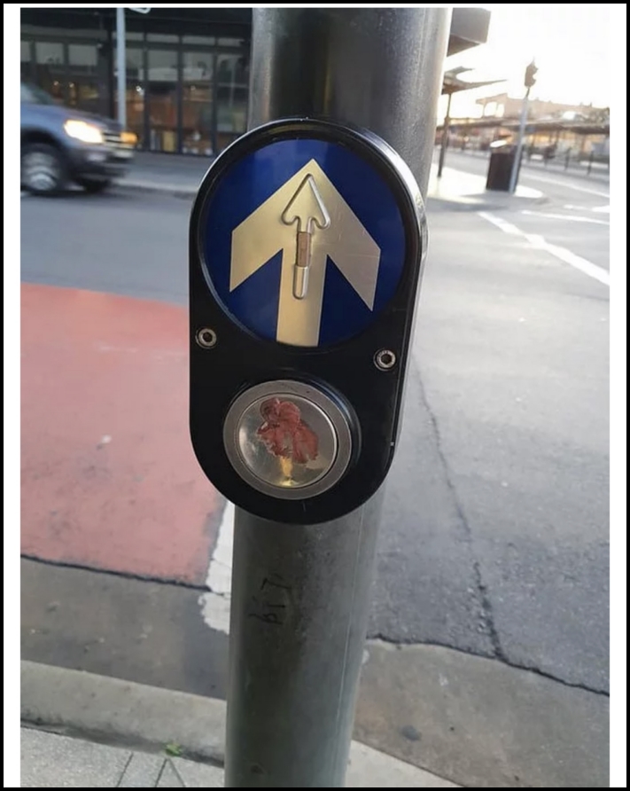 7 դեպք, երբ մարդիկ հաստատել են իրենց կենդանական ծագումը և նույնիսկ չեն փոշմանել