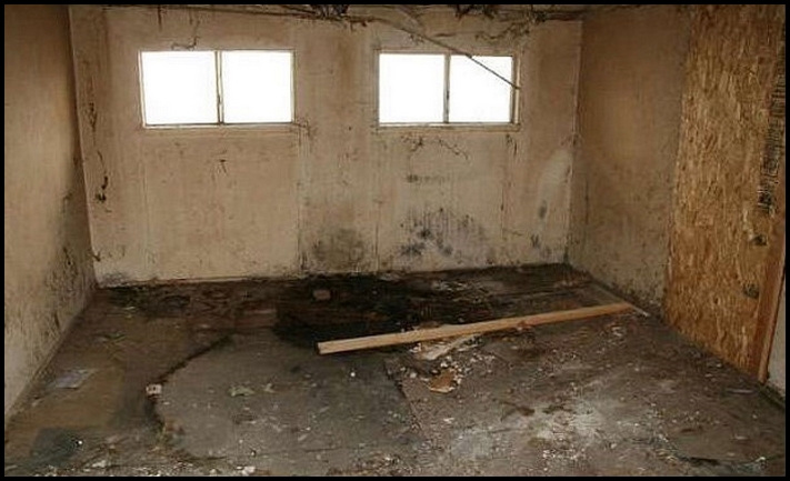 Այս ավերակ տունն ավելի քան 60 տարվա պատմություն ունի, բայց այն վաճառում են մոտ 500 000 դոլարով. պատճառը ձեզ շատ կզարմացնի...