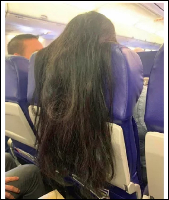 7 դեպք, երբ մարդիկ հաստատել են իրենց կենդանական ծագումը և նույնիսկ չեն փոշմանել