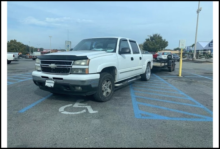 7 դեպք, երբ մարդիկ հաստատել են իրենց կենդանական ծագումը և նույնիսկ չեն փոշմանել