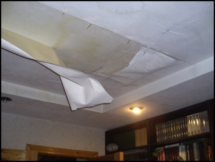 14 անգամ, երբ հարևանները ջրհեղեղ են արել