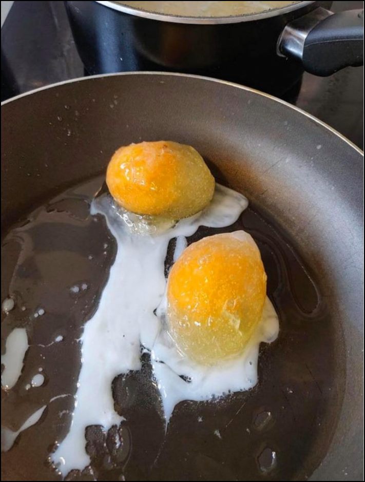 Իրենց հիմարության պատճառով մարդիկ հայտնվում են դժվար իրավիճակներում