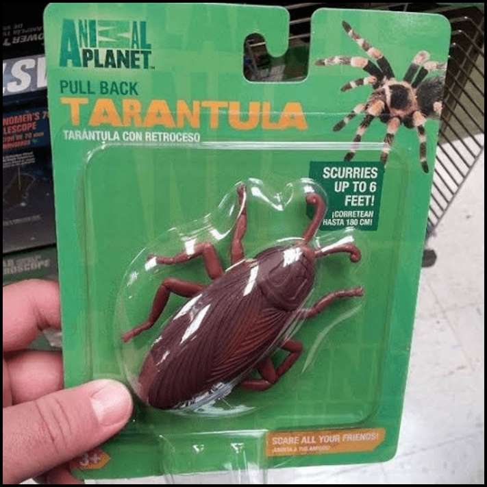 15 լուսանկար, որից հետո հասկանում ես, որ ոչ բոլոր պերֆեկցիոնիստներն են աշխատում