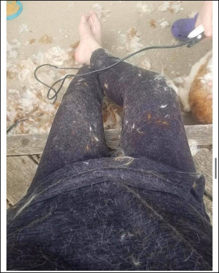 Իրենց հիմարության պատճառով մարդիկ հայտնվում են դժվար իրավիճակներում