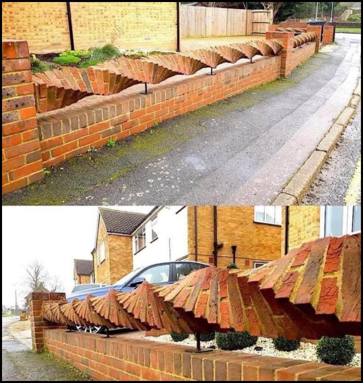 16 լուսանկար, որոնք կարող են հեշտությամբ հանգստացնել նյարդերը, զարմացնել և ուրախացնել ձեզ