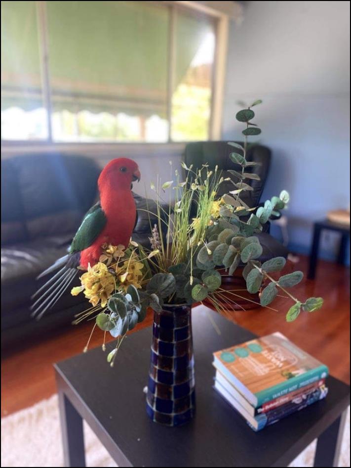 Նկարներ Ավստրալիայից, որոնք ցույց են տալիս, թե որքան եզակի է այս մայրցամաքը