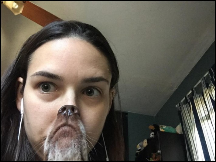 17 կադր, որոնք կատարվել են կատարյալ ճիշտ պահին