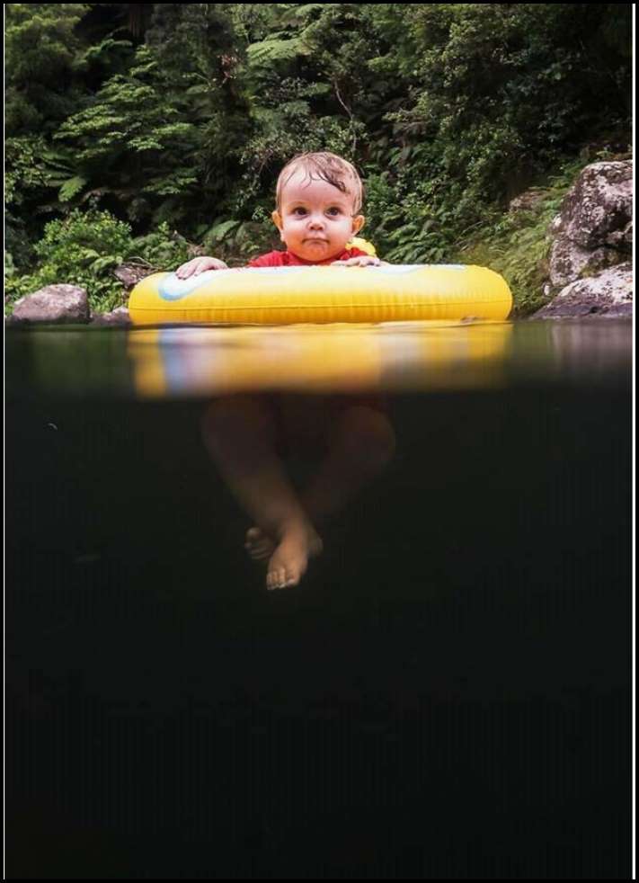 Ծովի և նրա բնակիչների 15 լուսանկար, որոնք դիտելուց հետո այլևս չեք մտնի ջուրը