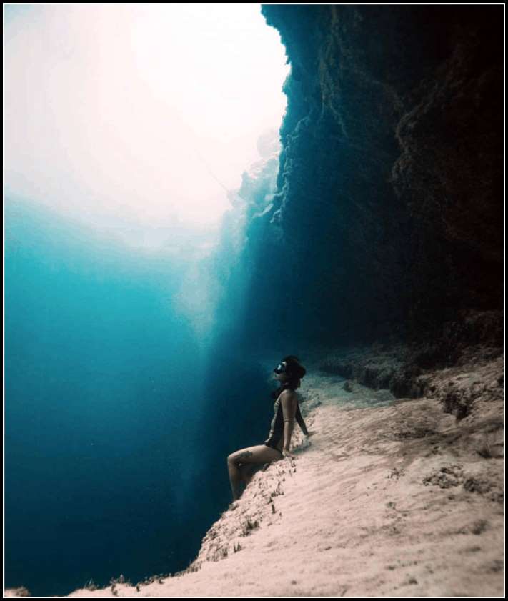 Ծովի և նրա բնակիչների 15 լուսանկար, որոնք դիտելուց հետո այլևս չեք մտնի ջուրը