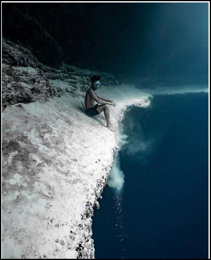 Ծովի և նրա բնակիչների 15 լուսանկար, որոնք դիտելուց հետո այլևս չեք մտնի ջուրը