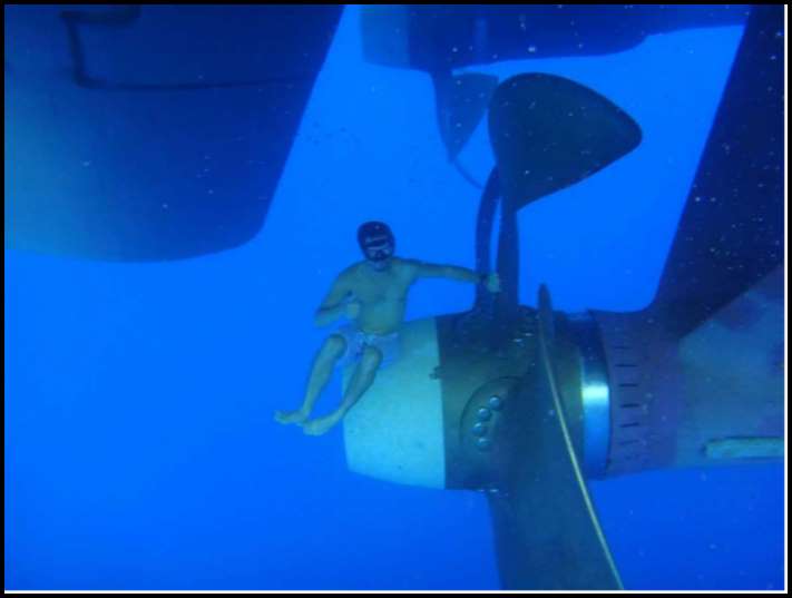 Ծովի և նրա բնակիչների 15 լուսանկար, որոնք դիտելուց հետո այլևս չեք մտնի ջուրը