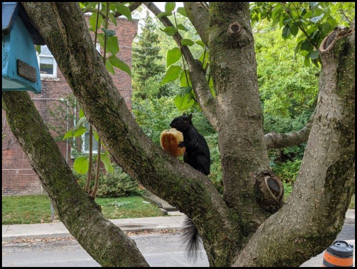 18 անեկդոտներ և կատակներ մայր բնությունից, որպեսզի մարդիկ չթուլանան