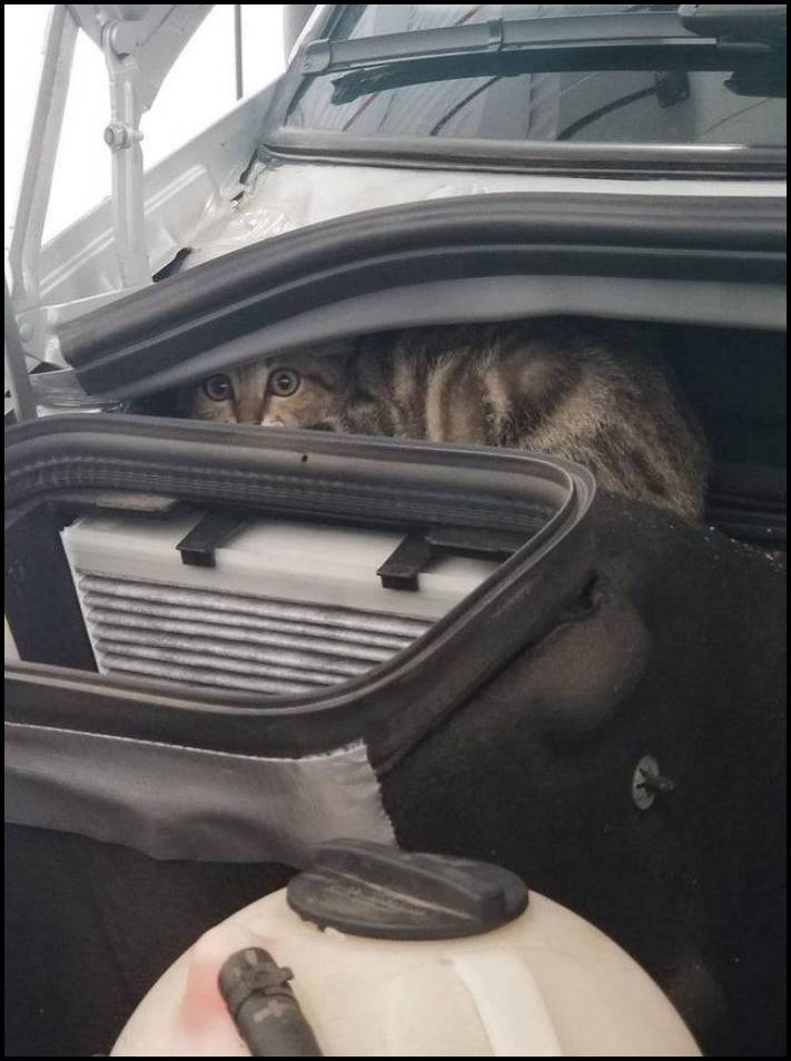 15 կադր ավտոտեխսպասարկման կետերից։ Ինչ անակնկալներ են մատուցում հաճախորդներն ավտոմեխանիկներին