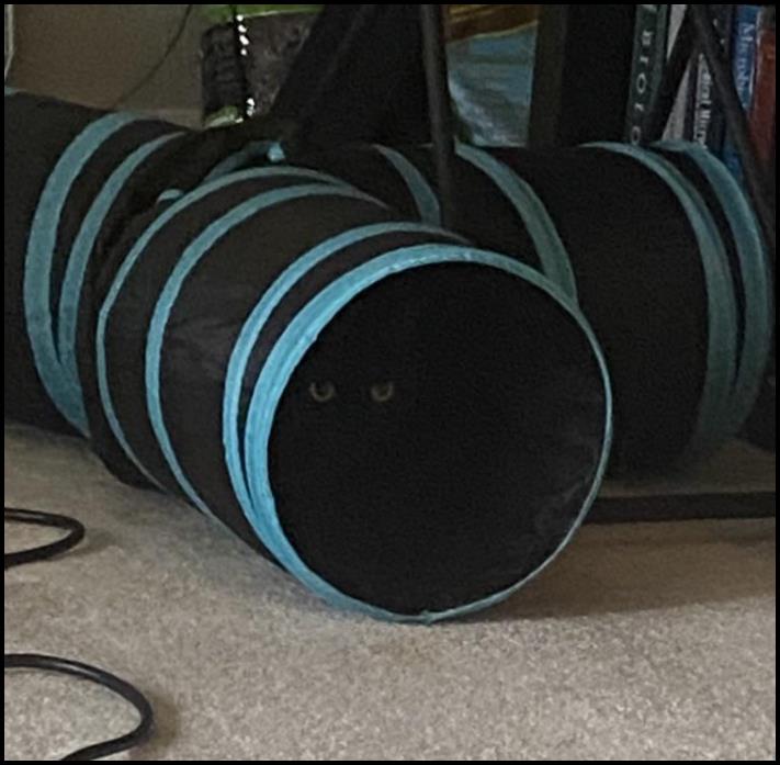 16 դեպք, երբ ավելի հեշտ է հավատալ, որ նկարում ոչ ոք չկա, քան գտնել գոնե մեկին